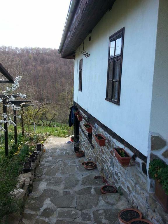 Къща За Гости Ножери Tryavna Exterior photo